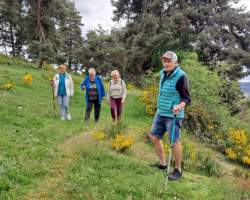 Atelier Marche