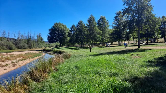 Prairie et grands arbres au bord de la rivière, quelques marcheurs au loin