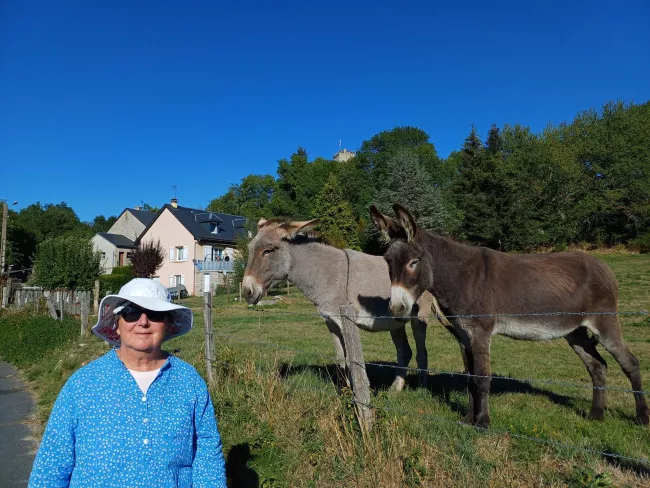 Une marcheuse avec deux ânes, la tour en arrière-plan