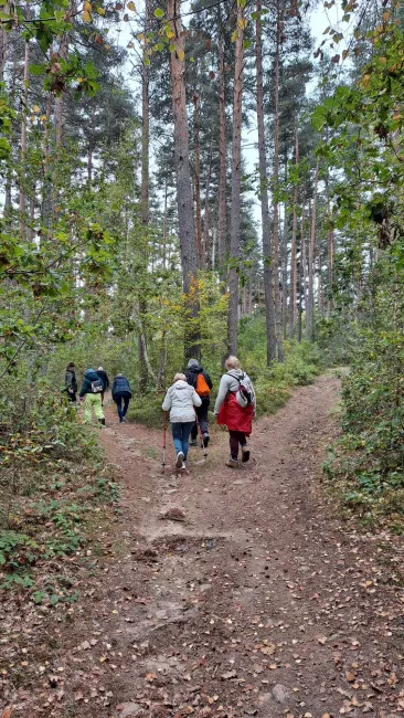 Le groupe avance sur un large chemin couvert d'aiguilles sous les pins.