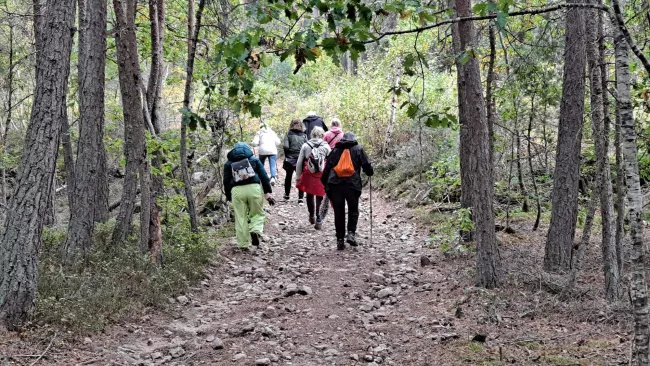 Les marcheurs gravissent ensemble un sentier pierreux dans la forêt.