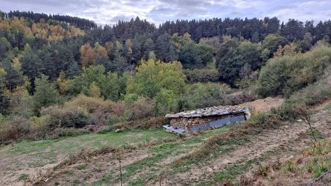 Vue sur les couleurs d'automne et une petite construction en pierre dans le vallon.