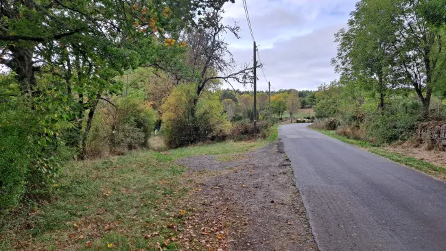 Petite route de campagne bordée d'arbres et de haies aux couleurs d'automne.