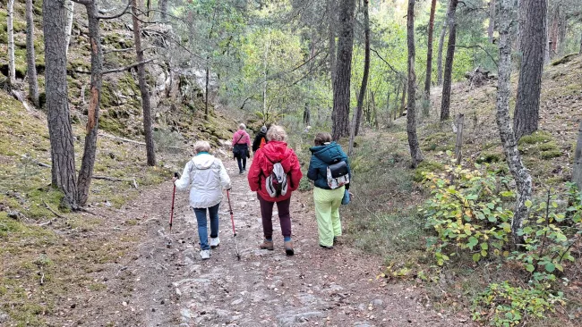 Le groupe descend un chemin forestier entre les rochers couverts de mousse.