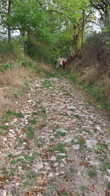 Les marcheurs montent un ancien chemin pavé et caillouteux.