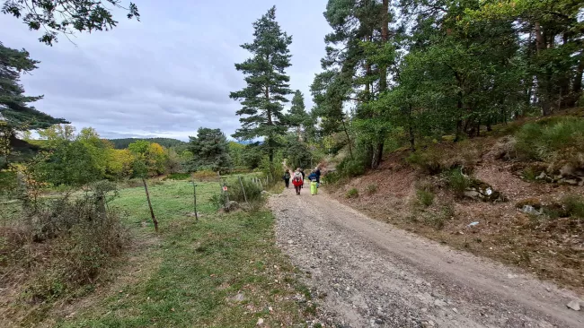 Le groupe poursuit la boucle sur un chemin rural entre prés et forêt.
